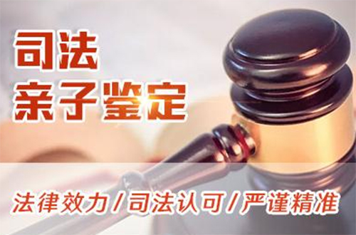 舟山司法亲子鉴定详细流程及材料,