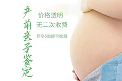 舟山如何做怀孕亲子鉴定